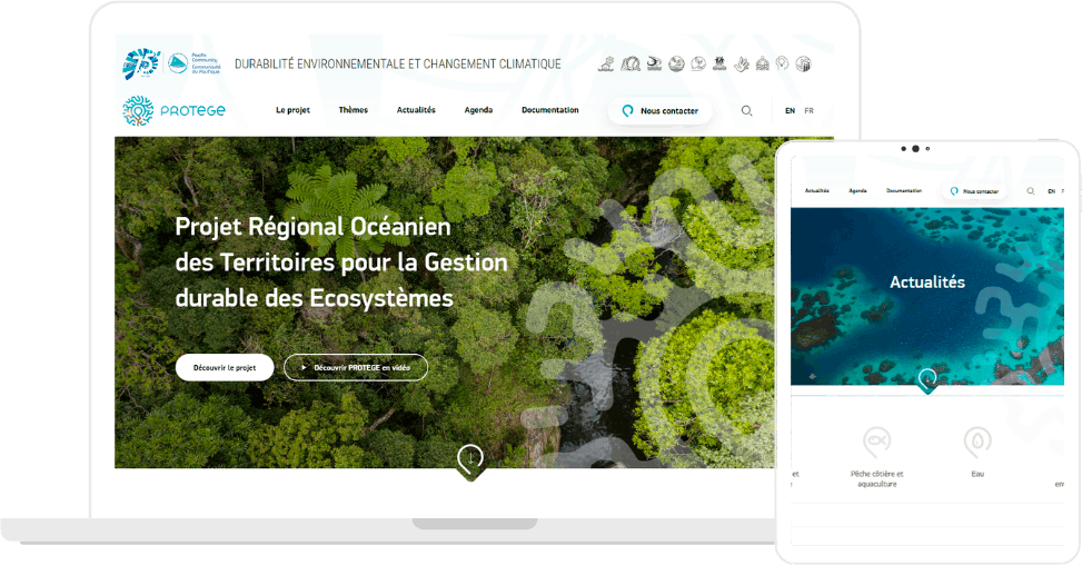 Site internet du programme PROTEGE, porté par la CPS